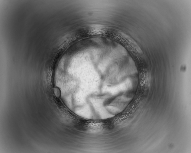 X0000103470560200810031522