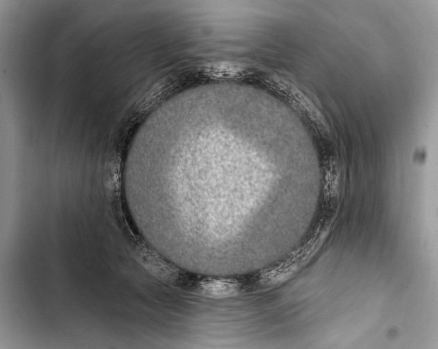 X0000103470561200810031522