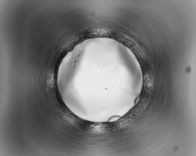 X0000103470564200810031523