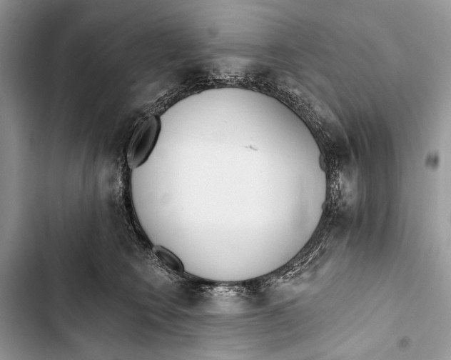 X0000103470566200810031523