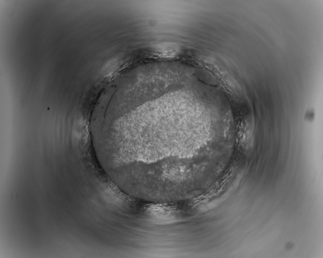 X0000103470568200810031523