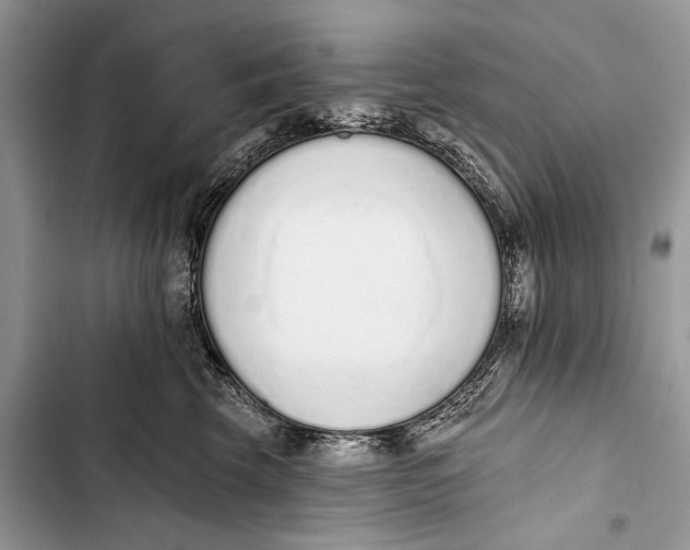 X0000103470569200810031523