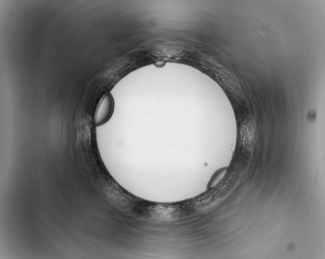 X0000103470570200810031523