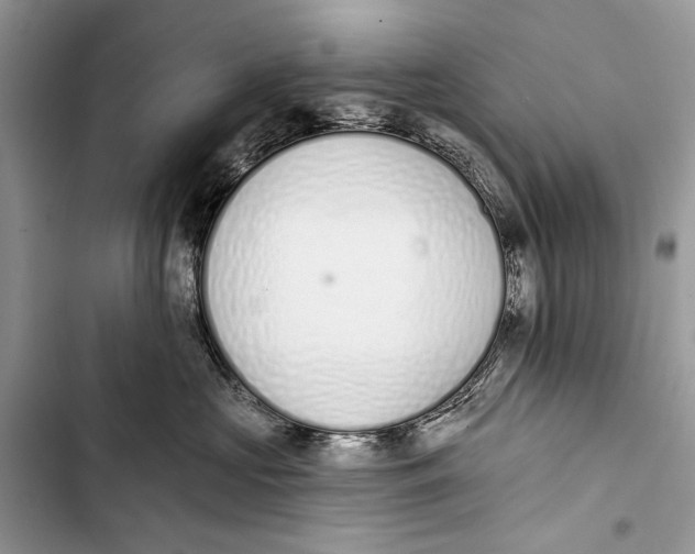 X0000103470573200810031523