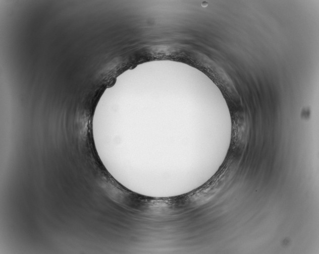 X0000103470574200810031523