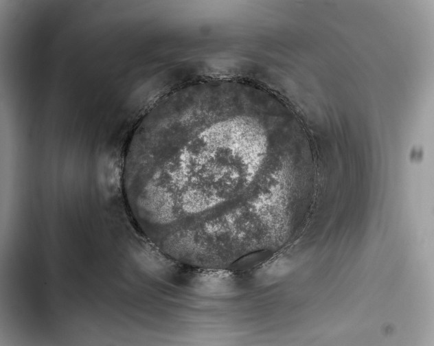 X0000103470576200810031523