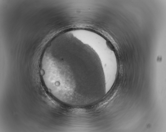 X0000103470577200810031522