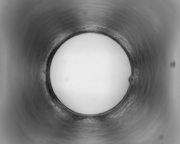 X0000103470578200810031522