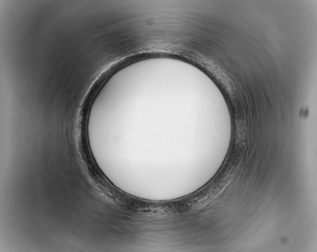 X0000103470580200810031522