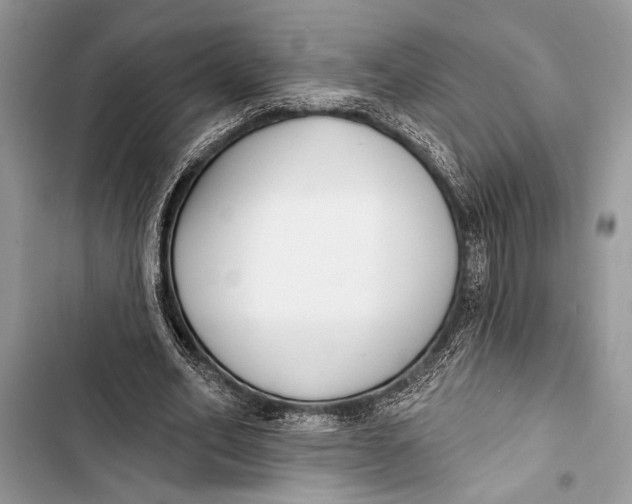 X0000103470582200810031522