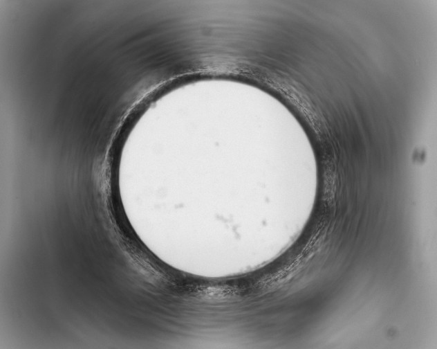 X0000103470584200810031522