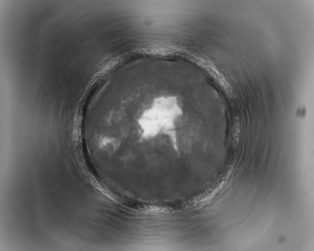 X0000103470585200810031522