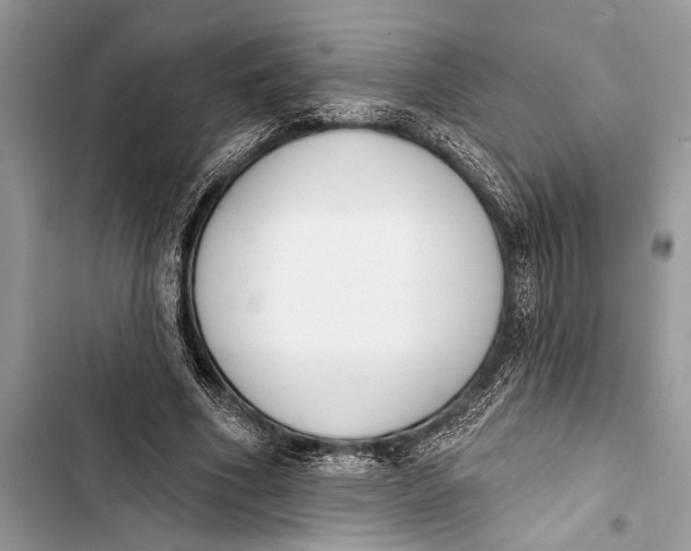 X0000103470586200810031522