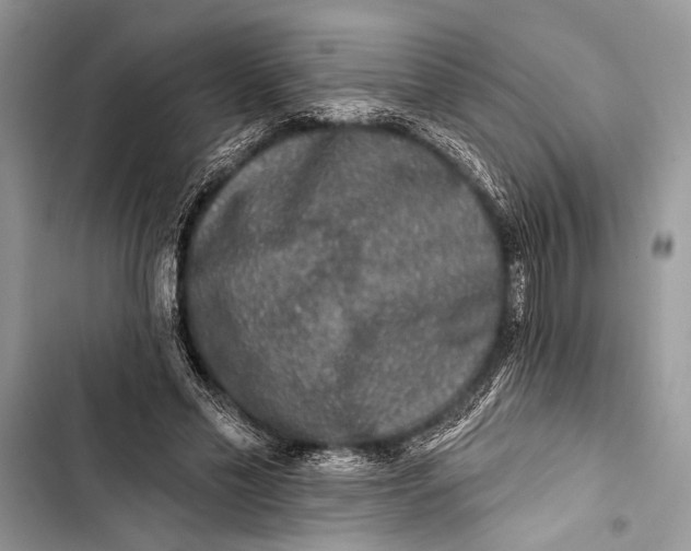 X0000103470589200810031522