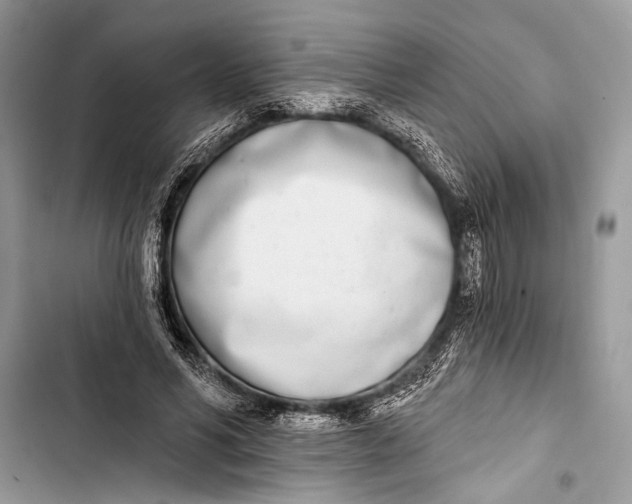 X0000103470590200810031522