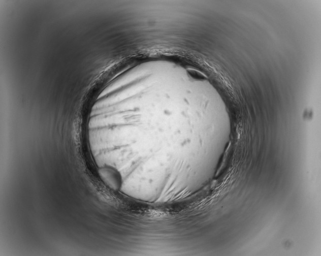 X0000103470592200810031522