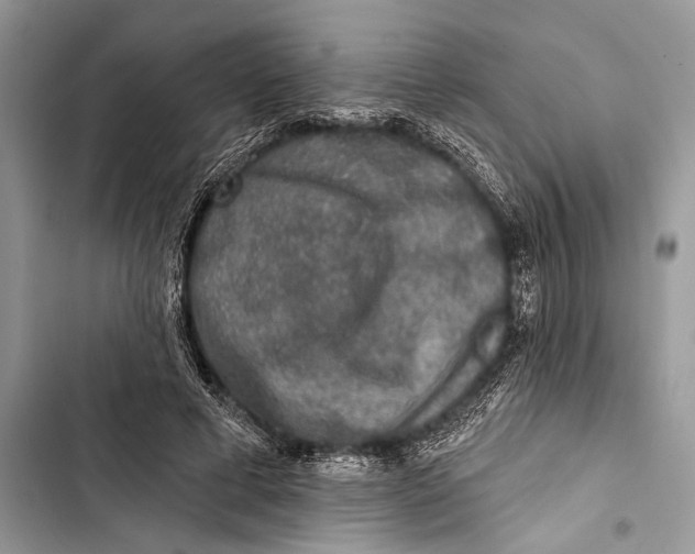 X0000103470593200810031522