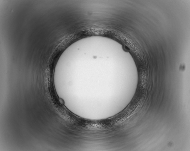 X0000103470594200810031522