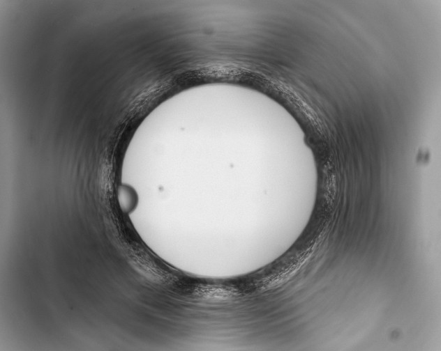 X0000103470597200810031522