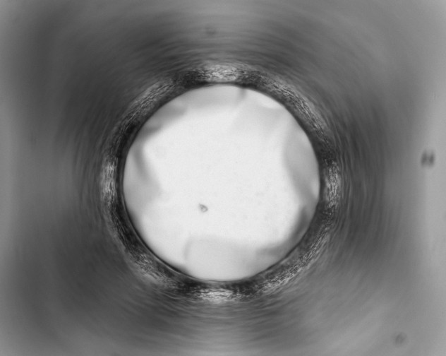 X0000103470598200810031522