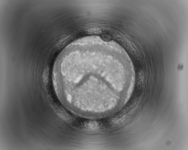 X0000103470600200810031522