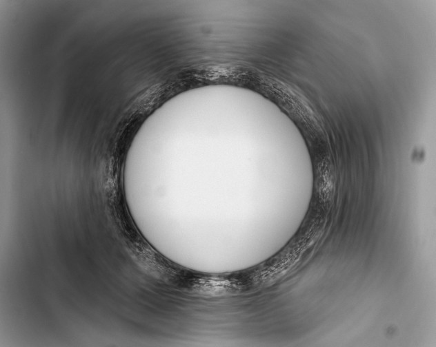 X0000103470607200810031522