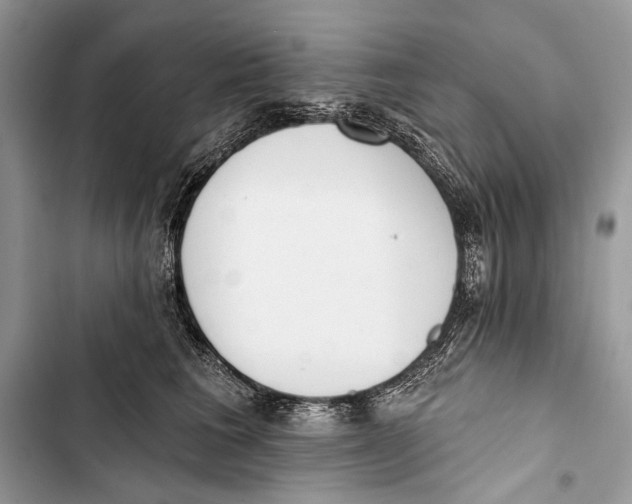 X0000103470613200810031522