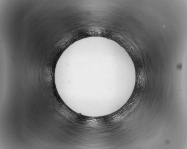 X0000103470616200810031521