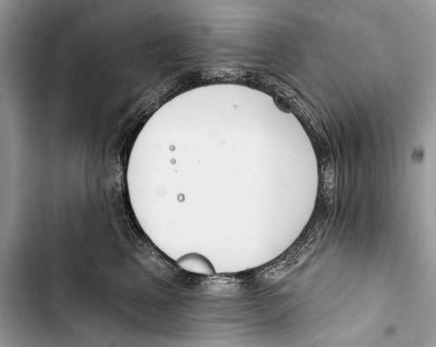 X0000103470617200810031521