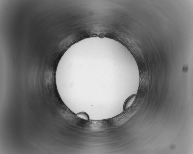 X0000103470623200810031521