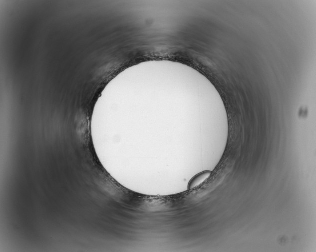 X0000103470624200810031521