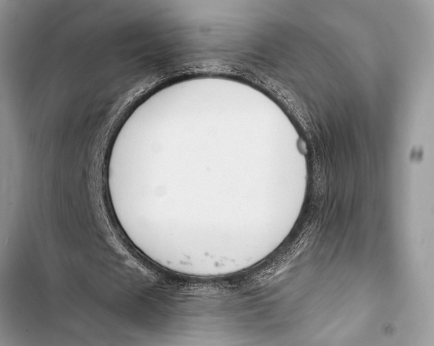 X0000103470625200810031521