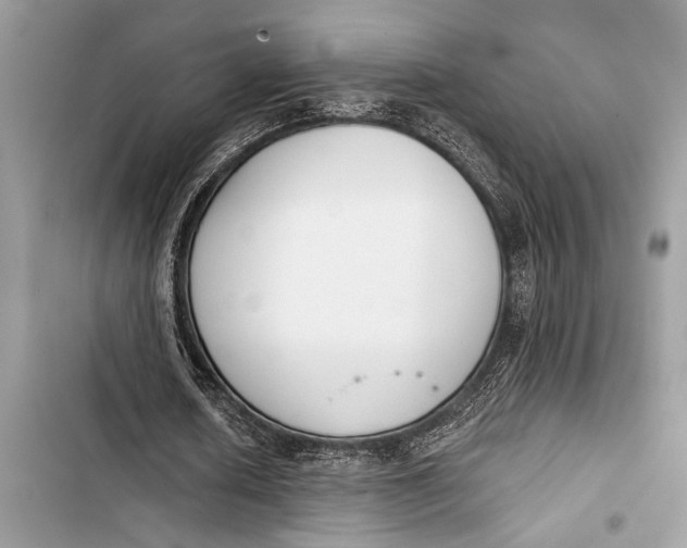 X0000103470626200810031521