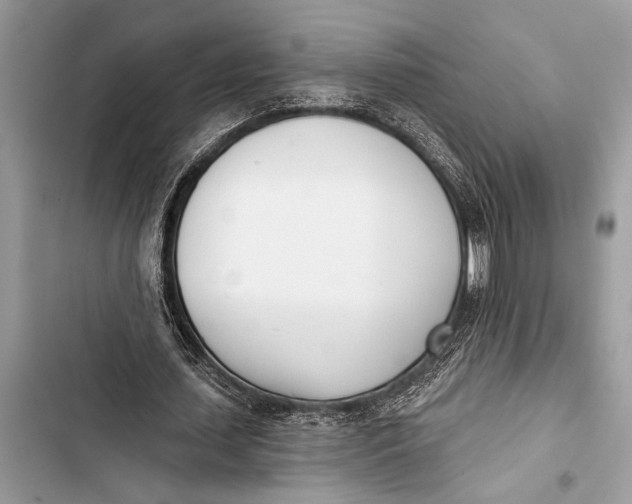 X0000103470627200810031521