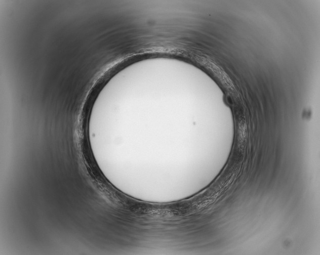 X0000103470628200810031521