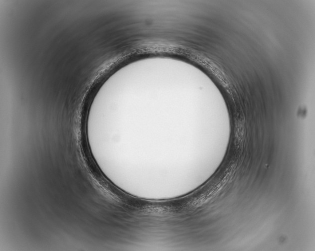 X0000103470629200810031521