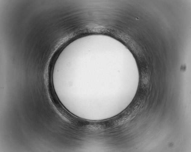 X0000103470630200810031521