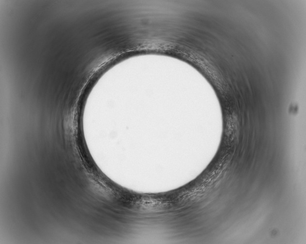 X0000103470632200810031521