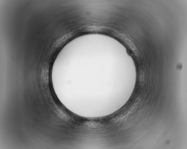 X0000103470633200810031521