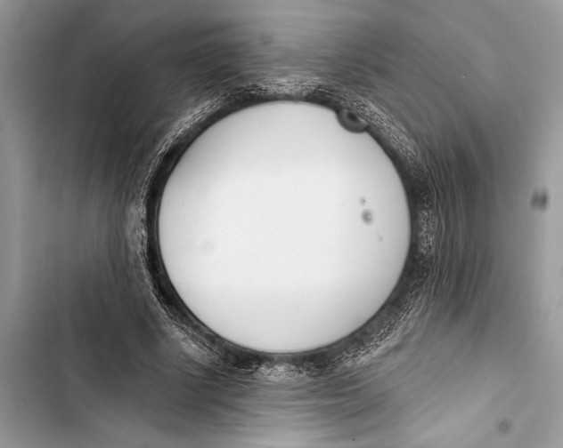 X0000103470634200810031521