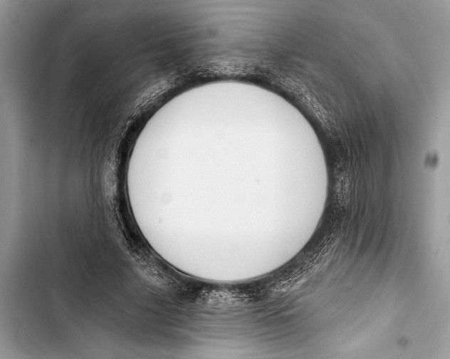 X0000103470635200810031521