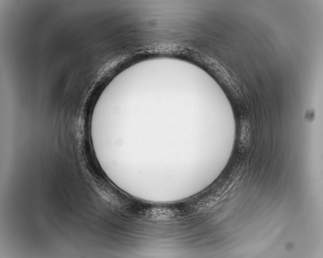 X0000103470636200810031521