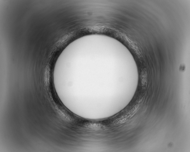 X0000103470637200810031521