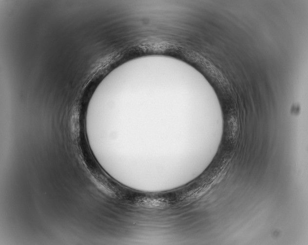 X0000103470638200810031521