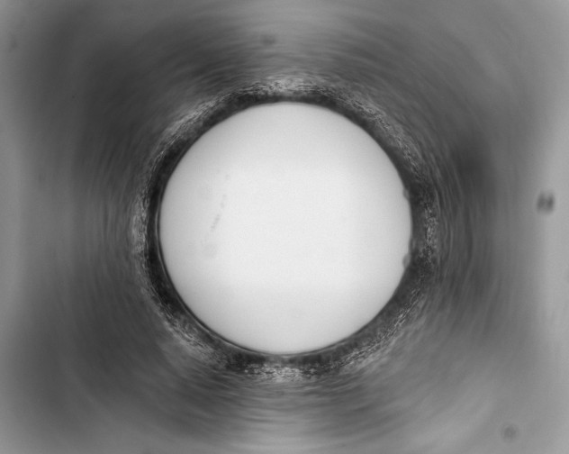 X0000103470640200810031521