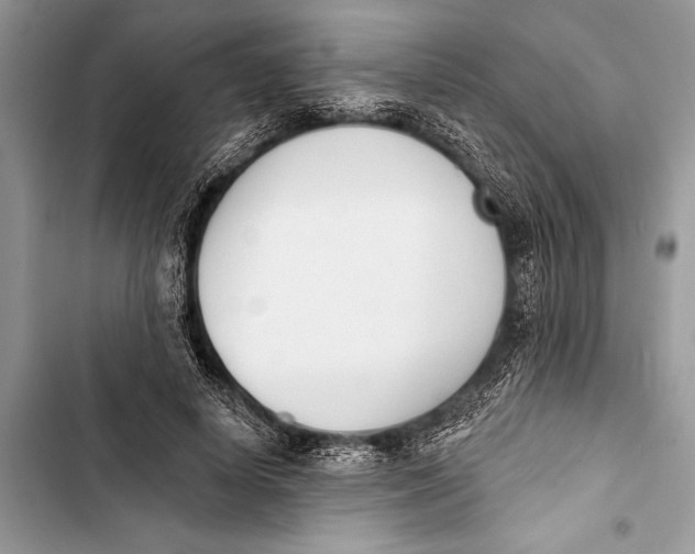 X0000103470642200810031521