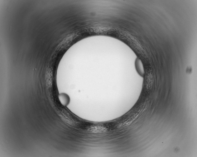 X0000103470644200810031521