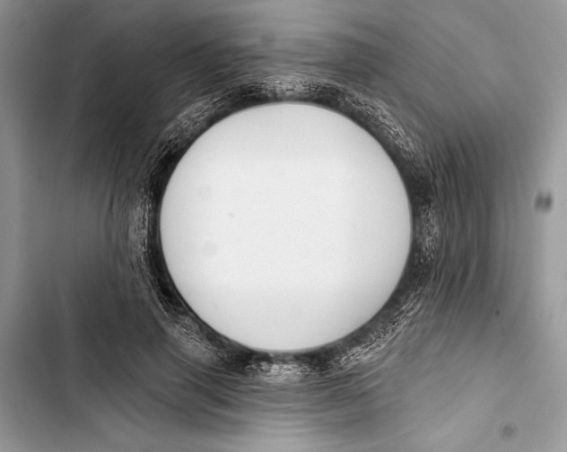 X0000103470645200810031521