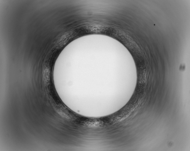 X0000103470646200810031521