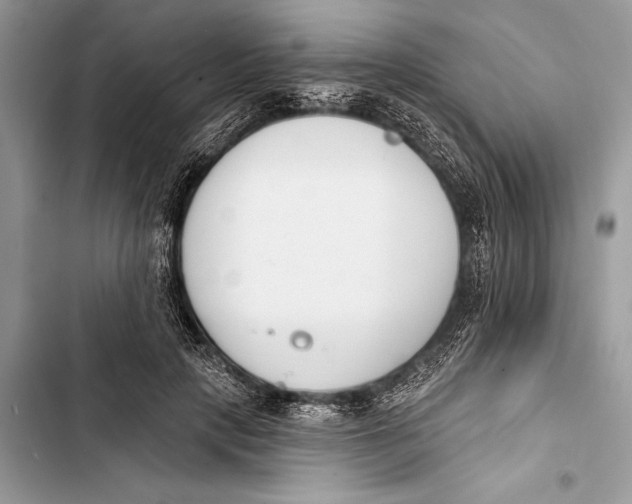 X0000103470649200810031521